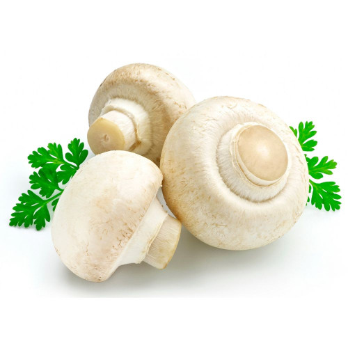 Гриб (Печериця)