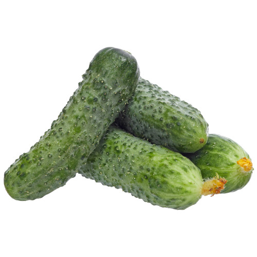 Огірок (колючий) Україна
