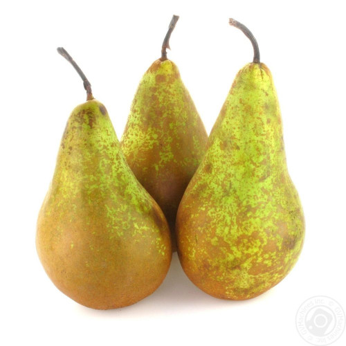 Груша (Конференція)