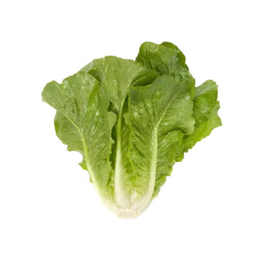 Салат (Ромен)