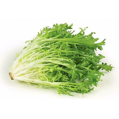 Салат (Фрізе)